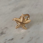 Anillo Estrella