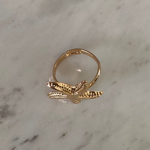 Anillo Estrella