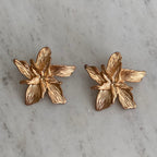 Arete Amber