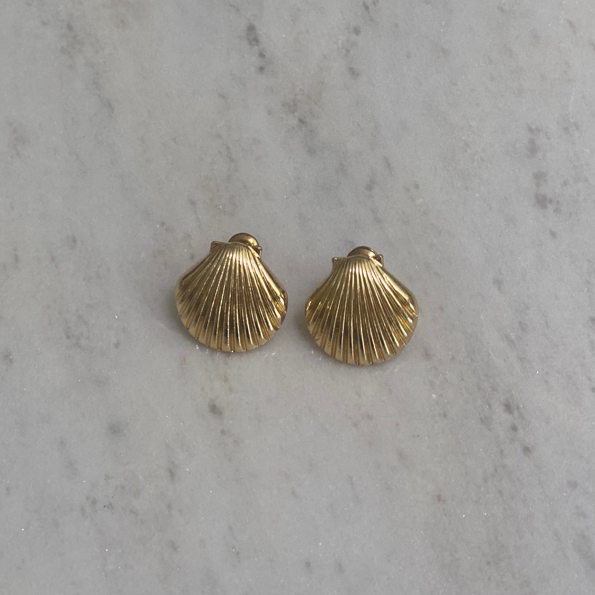 Arete De Concha Mini